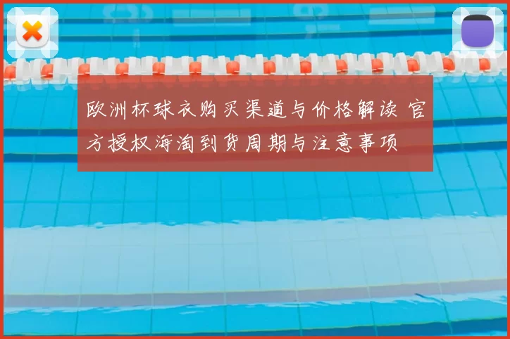 欧洲杯球衣购买渠道与价格解读 官方授权海淘到货周期与注意事项