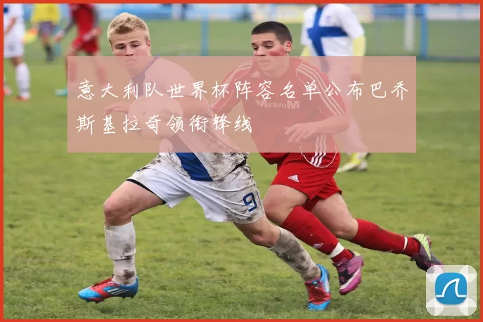 意大利队世界杯阵容名单公布巴乔斯基拉奇领衔锋线