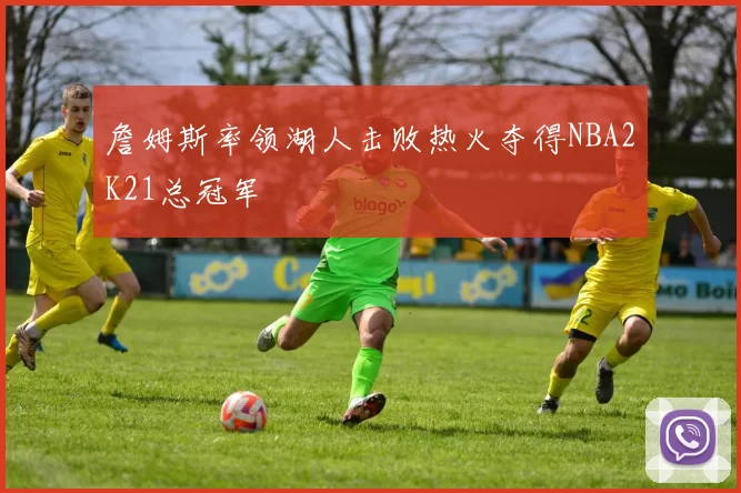 詹姆斯率领湖人击败热火夺得NBA2K21总冠军