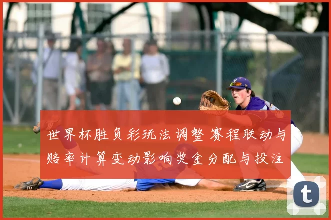 世界杯胜负彩玩法调整 赛程联动与赔率计算变动影响奖金分配与投注策略