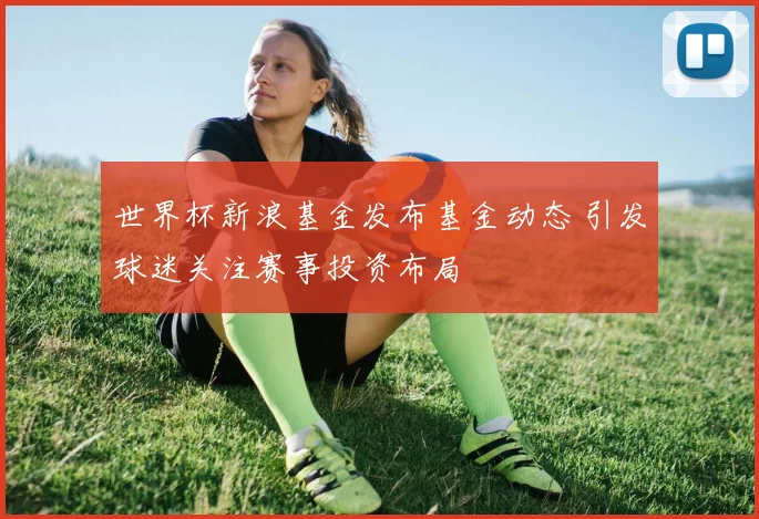 世界杯新浪基金发布基金动态 引发球迷关注赛事投资布局