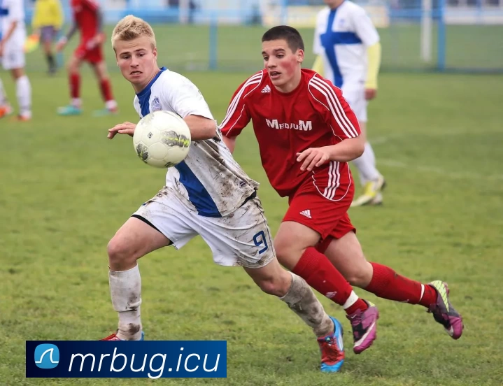 开云app官方在线入口 - 开云(中国)APP 高清赛事图